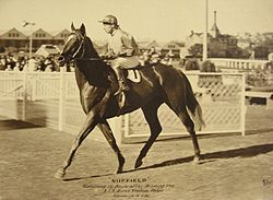 NUFFIELD 1938 AJC SIRES PRODUCE STAKES HAROLD BADGER.jpg