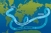 A schematic of modern thermohaline circulation Ocean circulation conveyor belt.jpg