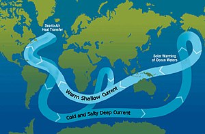 Ocean Circulation Conveyor Belt. The ocean pla...