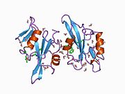 1а07​: C-SRC (SH2 домен) у комплексу са ACE-малонил TYR-GLU-(N,N-дипентил амином)