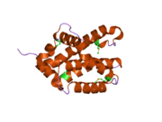 2ims: The X-ray Structure of a Bak Homodimer Reveals an Inhibitory Zinc Binding Site