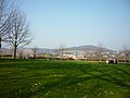 Ehemalige Dampfschifffahrtsanlegestelle einschließlich umgebender Park- und Gartenanlage, „Bastei“: Park- und Gartenanlage