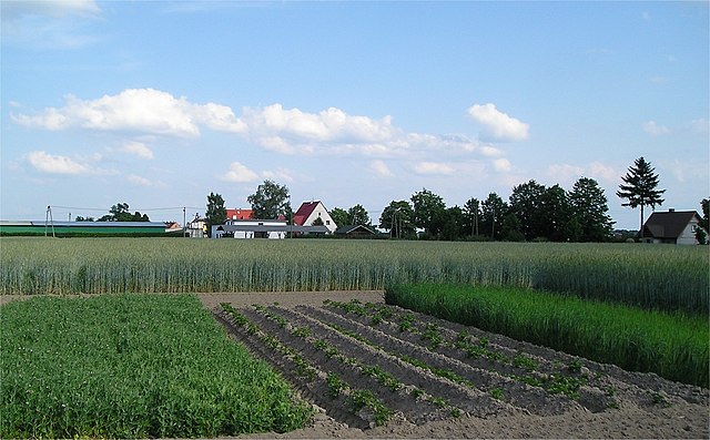 Crop rotation