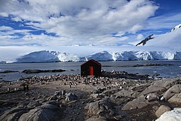 En stuga vid Port Lockroy på Wienckeön