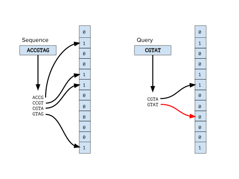 A visualization of querying a bloom filter of k-mers of a DNA sequence.