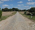 Straße nach Ruester Krug mit Pflaster und Allee