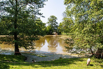 Étang à Železnice.