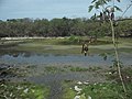 Laguna de Sabakalal.