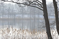 Skyline of Schierensee