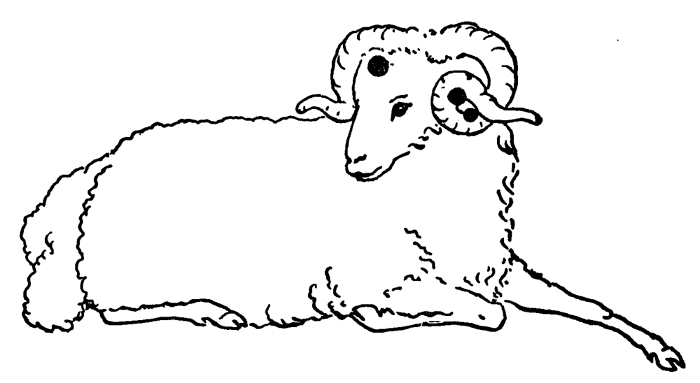 The constellation Aries pictured as a ram with the major stars denoted