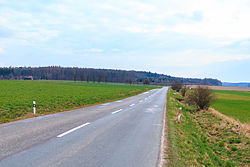 Stračovský bor – pohled ze silnice od Stračova