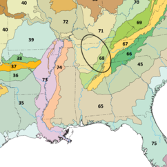 Symphyotrichum kentuckiense endemic distribution map: United States — nearby areas of Alabama, Georgia, Kentucky, and Tennessee outlined by an oval