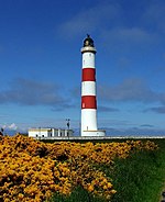 Tarbat Ness Lighthouse