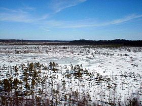 Национальный парк "Торронсуо", весна