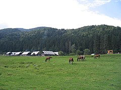 Localizare: în aval de fostele cazărmi ale armatei ungare (2005)