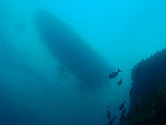 Looking up to the boat from about 12 m deep at one of the pinnacles