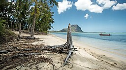 Stranden på Île aux Bénitiers