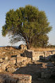 Abdera, antike griechische Stadt