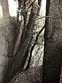 秋葉山、林立する巨岩