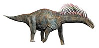 Amargasaurus reconstruction