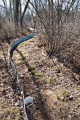 Amphibienzaun in Unter Chiemi auf dem Weg ins Waldeggmoos