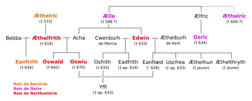 Représentation graphique de la famille d'Edwin