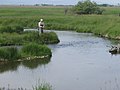 Ben Hart Spring Creek on the MZ Ranch near Belgrade, MT