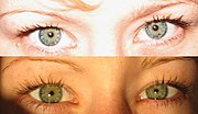 The perception of color depends upon various factors. These are the same eyes; however, depending on the light and surrounding hues, the eye color can appear quite different.