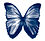 Blue morpho butterfly2 300x271.jpg