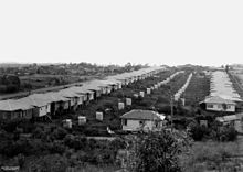 Norman Park, Queensland, around 1950; like many areas of Brisbane this area was unsewered until the late 1960s
, with each house having an outhouse or "dunny" in the back yard. The little sheds in each back yard are outhouses. BrisbaneSuburbanOuthouses1950.jpg