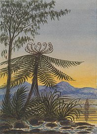 View near Auckland: Evening—Trees and Ferns (c 1849) Artist: Charles Emilius Gold