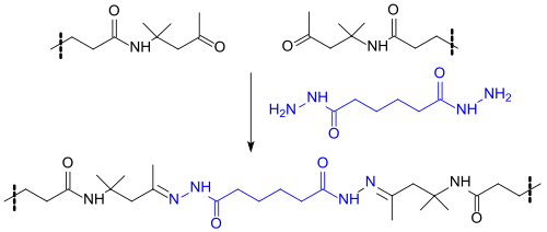 Vernetzung von Diacetonacrylamid-Einheiten mit Adipinsäuredihydrazid