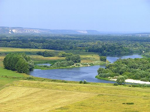 Don (Voronezh Oblast).jpg