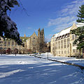 Boston College