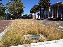 A bioretention cell for treating urban runoff in California Emeryville California Stormwater Curb Extension.jpg