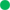 Green medal icon blank.svg