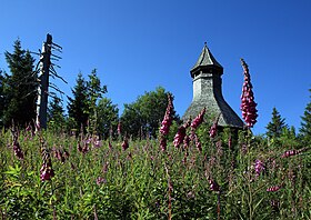 Hochkopfturm-Todtmoos-Schwarzwald.jpg