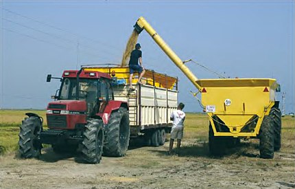 Amposta (Montsià), 10 de setembre de 2004