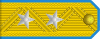 Lieutenant General of the Air Force rank insignia (North Korea).svg