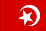 The Nation of Islam flag (1973)