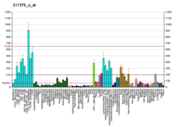 PBB GE ILF3 211375 s at fs.png