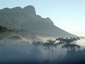 Yvyty Ita Baú Tetãvore São Paulo-pe.