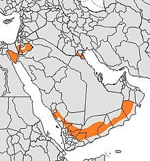 Современное распространение подвида серого волка - арабского волка (Canis lupus arabs) .jpg