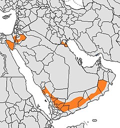 Área de distribuição do lobo-árabe