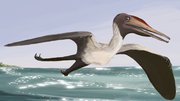 El Pterodactylus in züamöp natik oka.