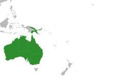 Pygopodidae distribution.svg