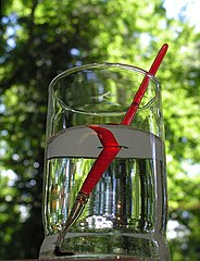 Total reflection of a paintbrush by the water-air surface in a glass.