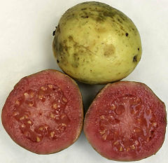 240px-Ripe_guava.jpg