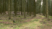 Blick auf die Gesamtanlage mit dem nordwestlichen Tordurchlass