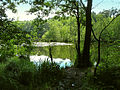 Am Langen See im Schlaubetal